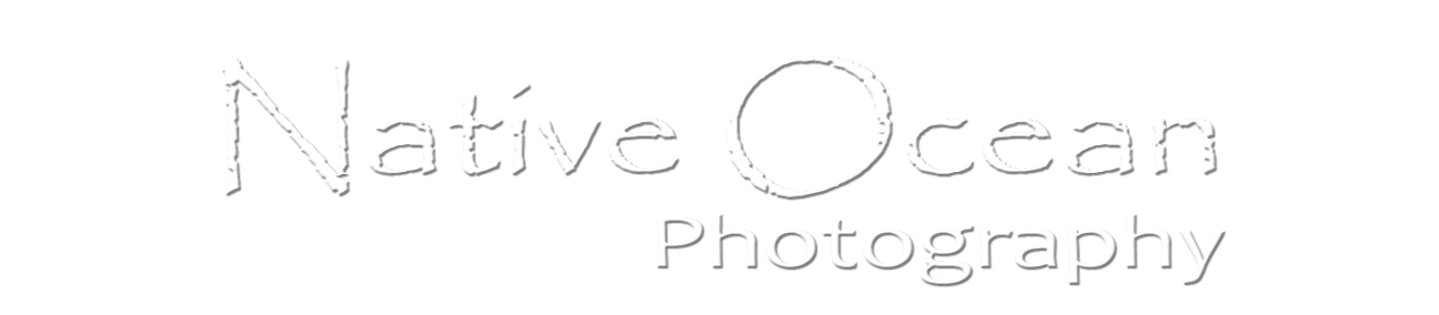 Native Ocean Photography
